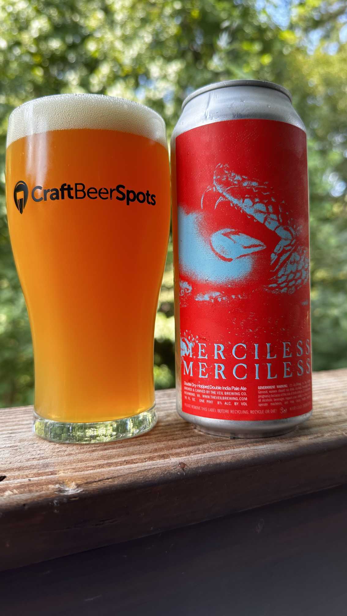 CraftBeerSpots photo of The Veil Merciless Merciless can