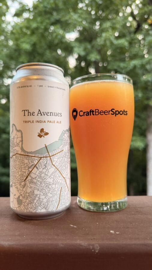 Can of The Avenues from Trillium Brewing Company
